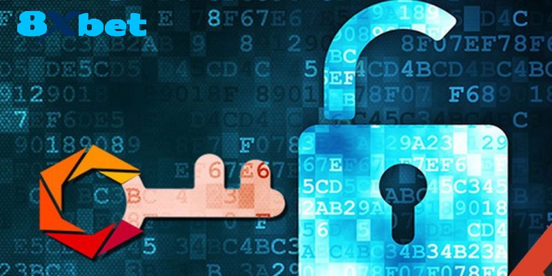 Những nét cơ bản về giấy phép hoạt động